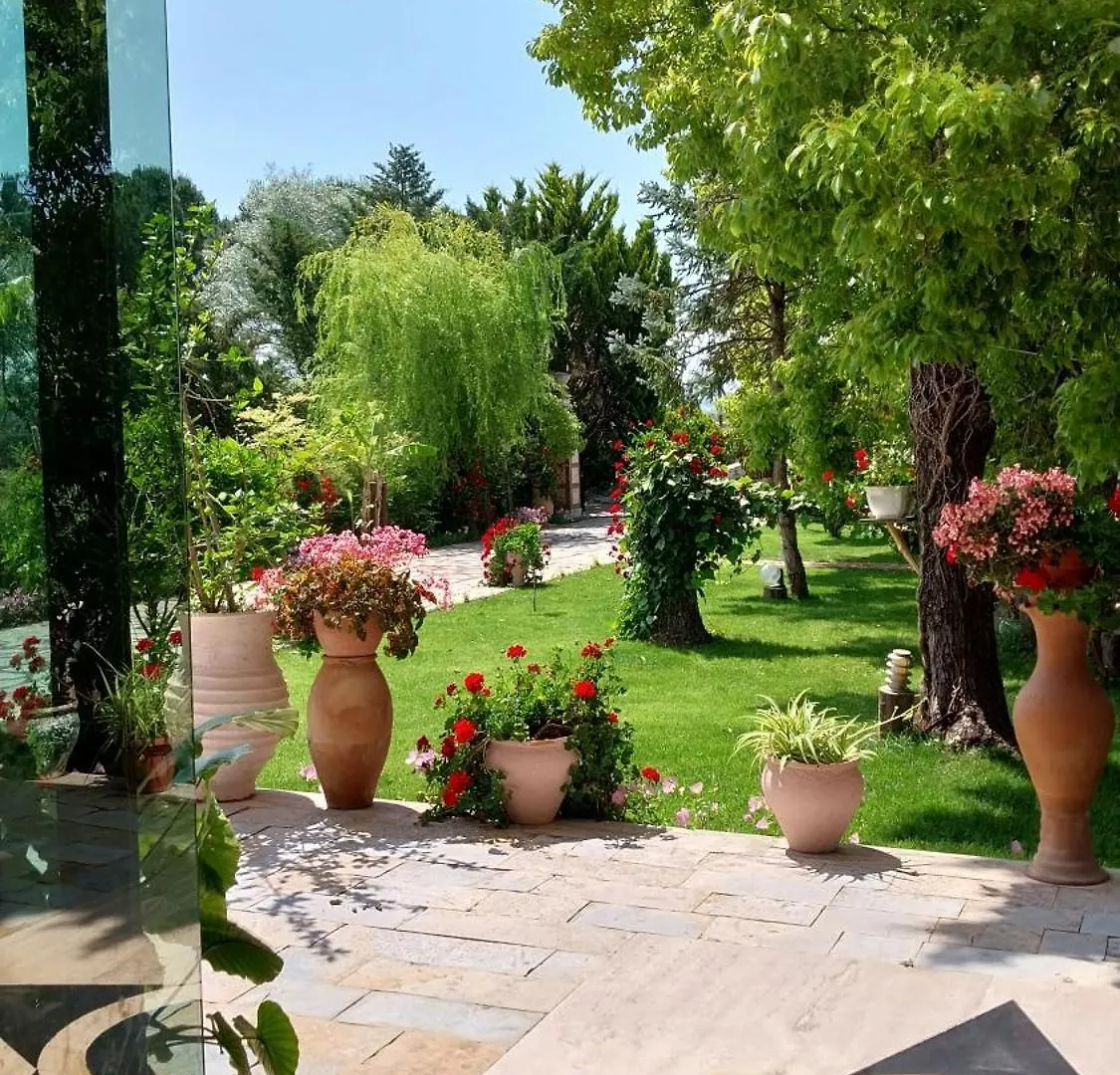 ***  Hotel Different Divjake Albania